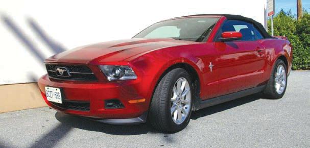 You just know it's a Mustang! Mustang