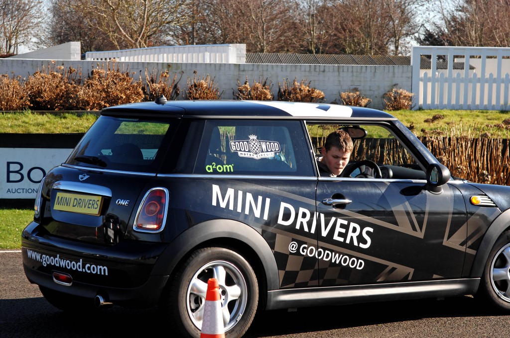 Mini Drivers at Goodwood credit Matt Ankers09