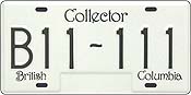 ICBC Collector Plate ICBC Collector Plate