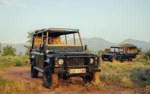 UK-based Electrogenic electric converted Land Rovers. Photos: courtesy Electronic.